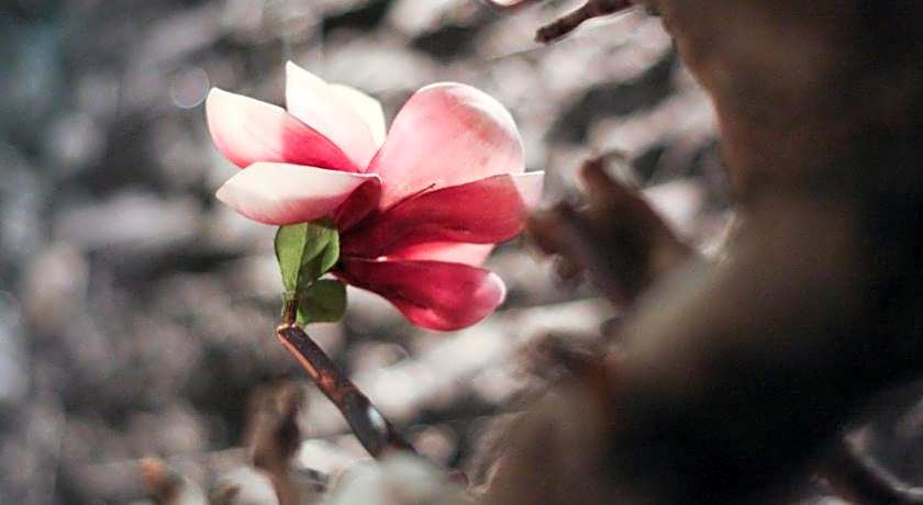 Lanshy Boutique Motel