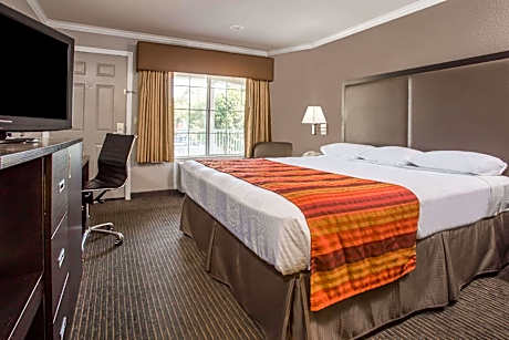 1 King Bed Non-Smoking