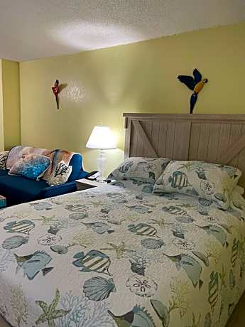 Studio Apartment with Sea View