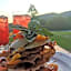 Alba Morus Bed & Breakfast, sentiti a casa nel cuore della Toscana