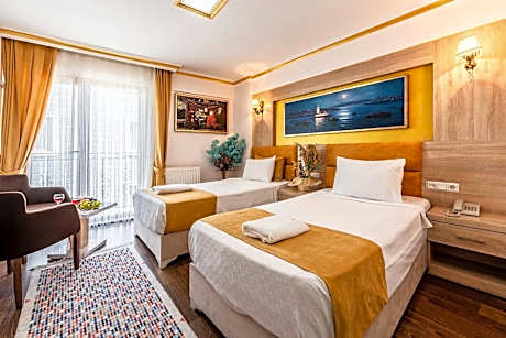 Deluxe Twin Room