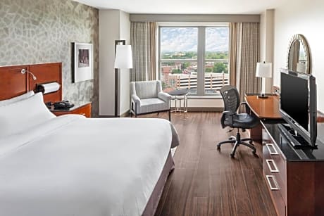Executive City View King, Guest room