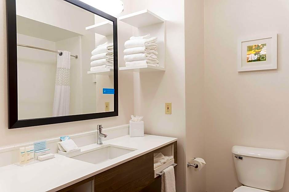 Hampton Inn By Hilton & Suites East Lansing/Okemos