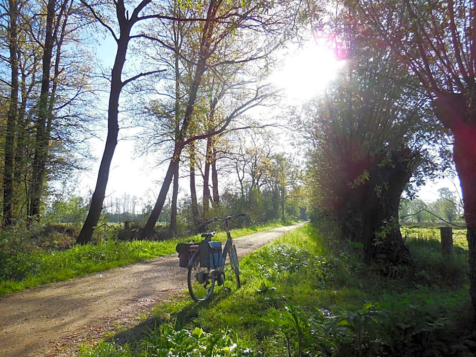 B & B " De 7 Sprong "