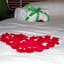B&B Gaudium Colosseo