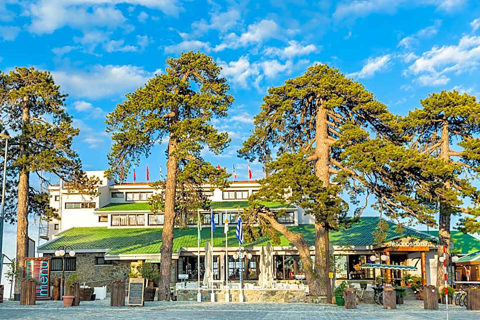 Photo 1 of 50 of Troodos Hotel & Spa