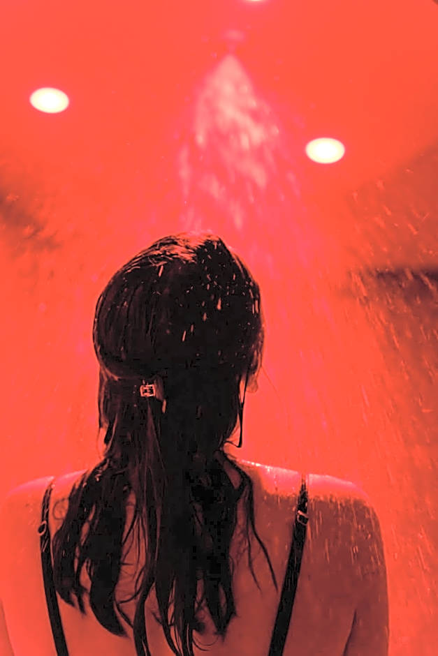 Edgar Hôtel & Spa - Table Gastronomique