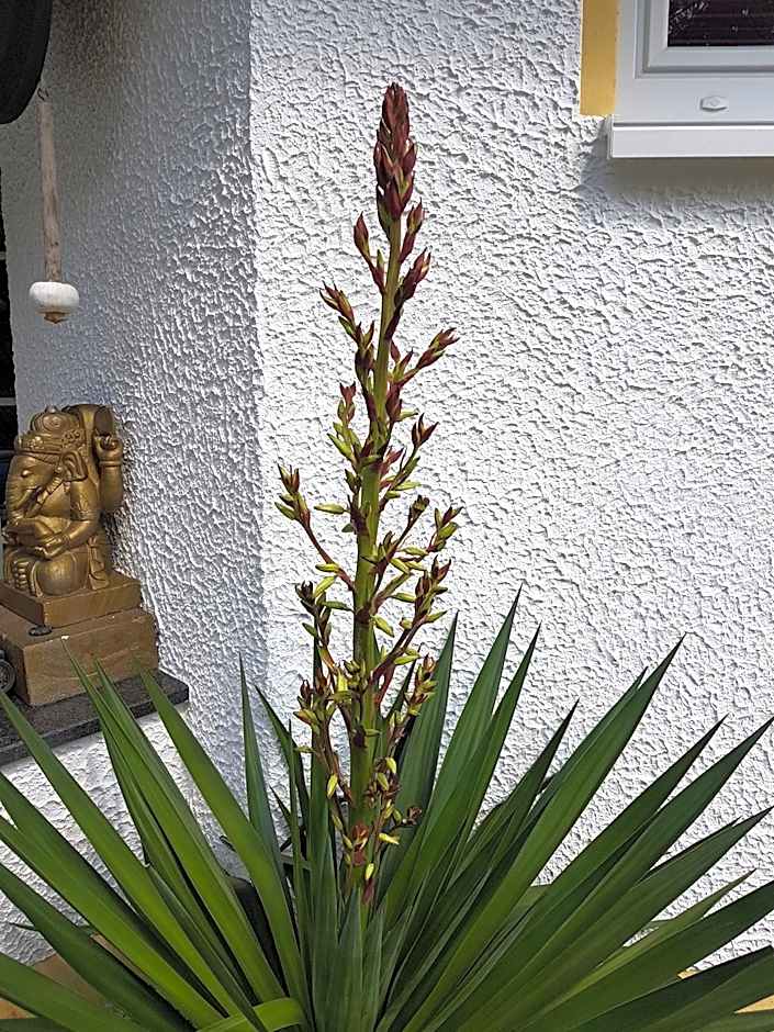 Landhotel Grimmeblick