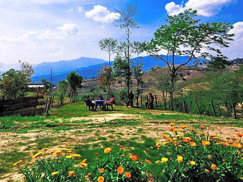 Mount Paradise Nature Stay