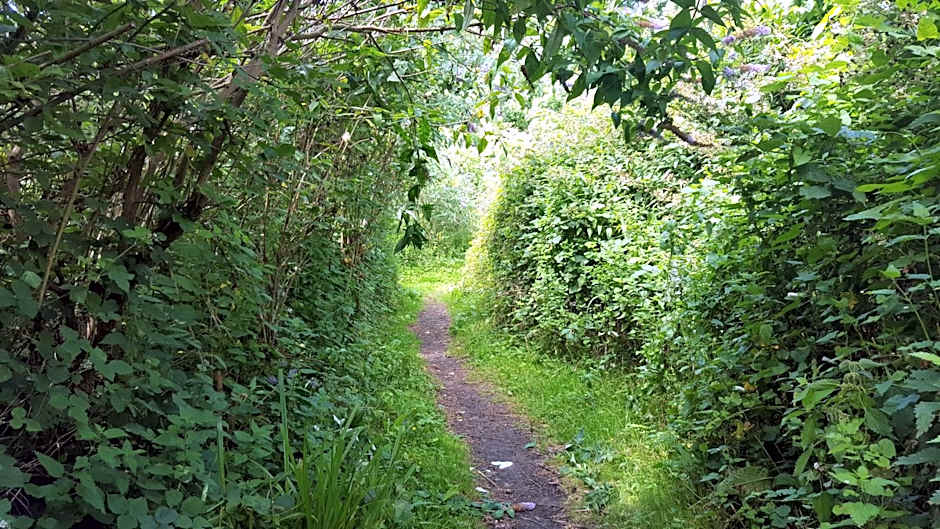 South Downs Eco Lodge & Camping