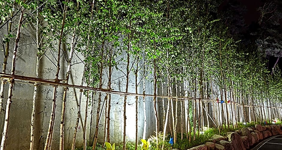 Cheongju Namoo Hotel