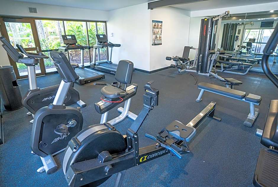 Surfers Aquarius on the Beach