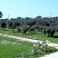 Piccolo Ulivo B&B Salento