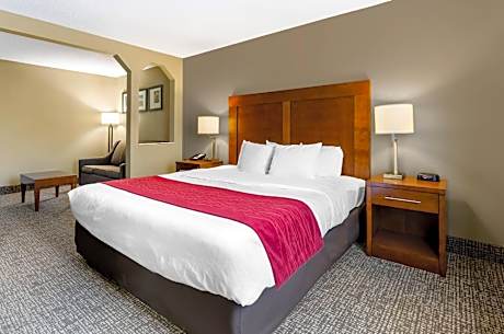 1 King Bed, Nonsmoking