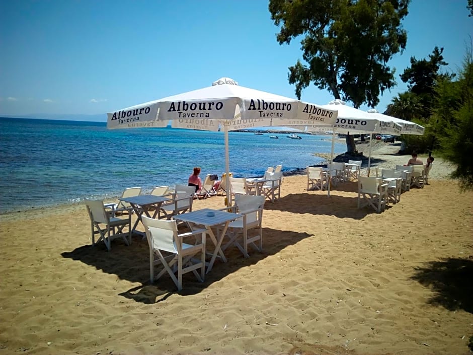 Albouro Seafront Apartments