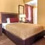 Hotel Theo New Orleans, Tapestry Collection by Hilton