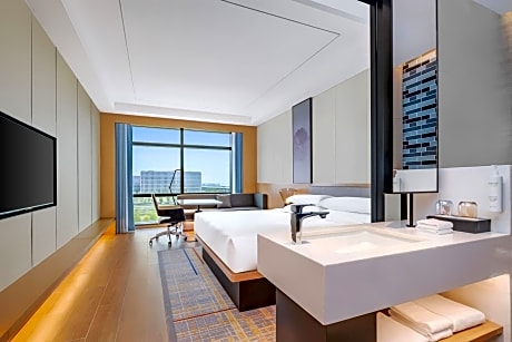 Business King Room with City View