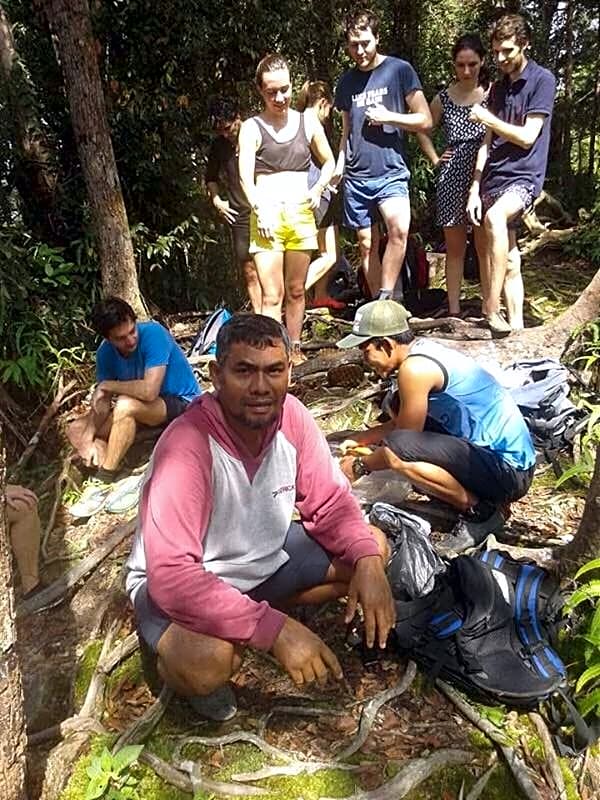 ORANGUTANTREKSUMATRA & LOVELY JUNGLE LODGE only book IF you are treking with us