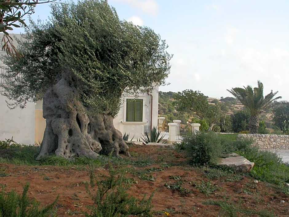Relais Parco Cavalonga