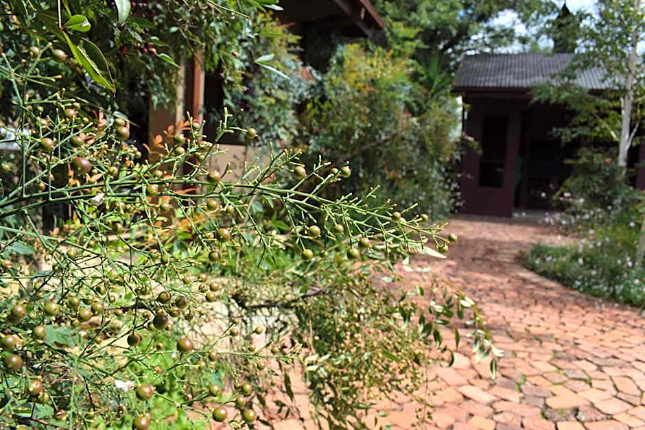 Greenleaf Guest Lodge