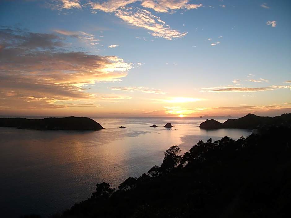 Tatahi Cove Back Packer