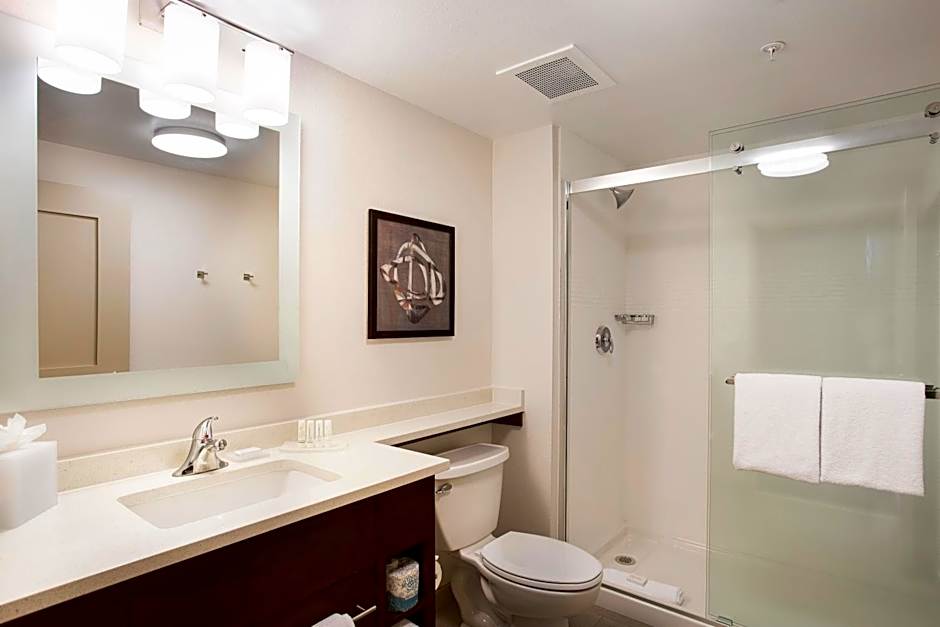 TownePlace Suites by Marriott San Mateo Foster City