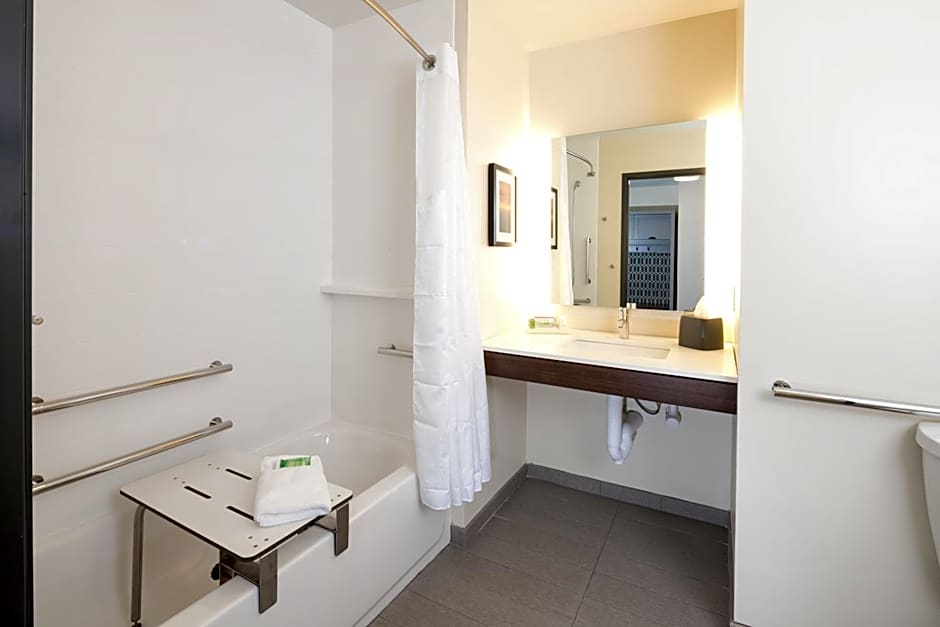 Holiday Inn & Suites Detroit - Troy by IHG