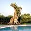 L'Ulivo Bed and Breakfast