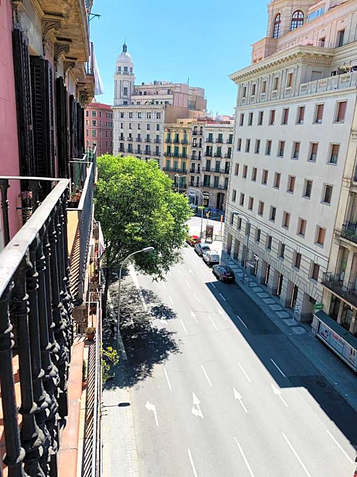 Super Balmes Guest House