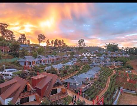 Chenfong Rakthai Resort-ไร่ชาเฉินฟงรีสอร์ท