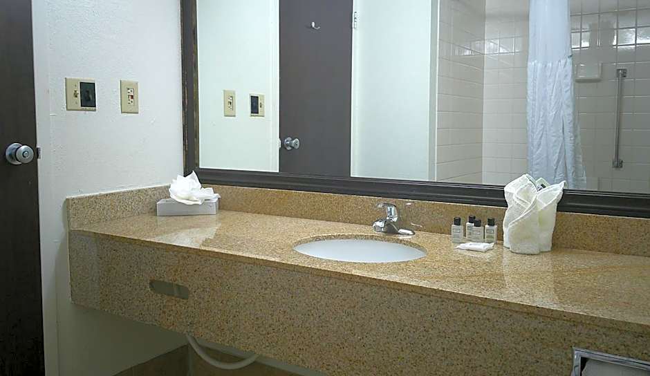 Wyndham Garden Romulus Detroit Metro Airport