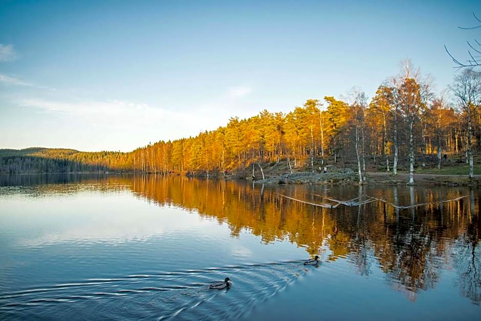 Olympiatoppen Sportshotel - Scandic Partner
