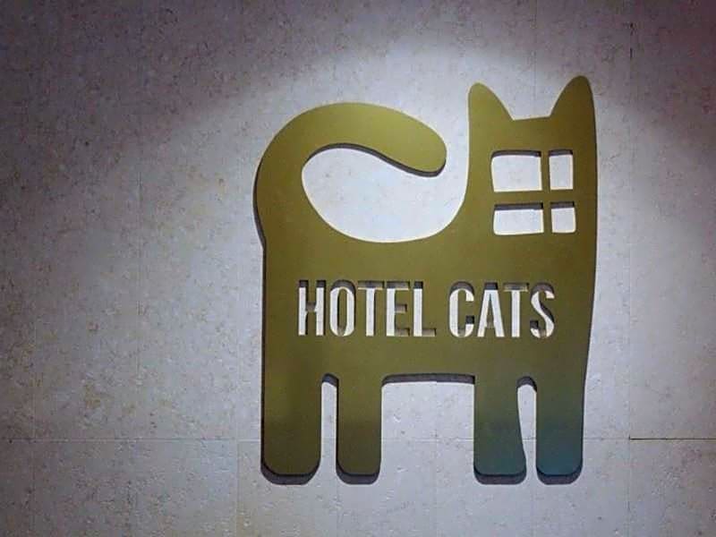 Hotel Cats Suwon