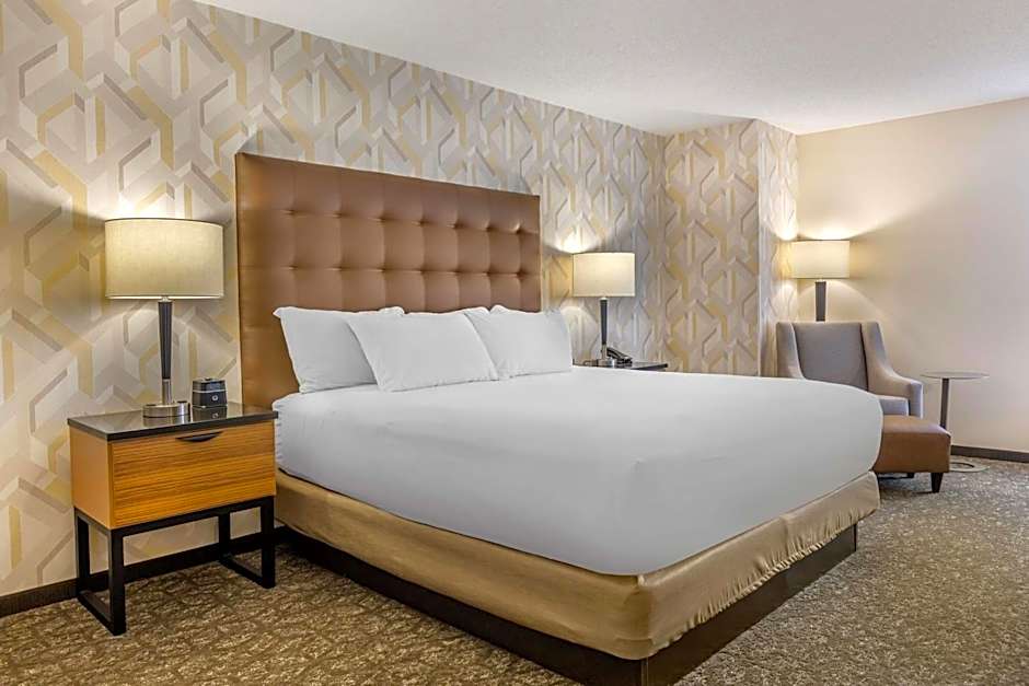 DRURY INN & SUITES ST LOUIS SOUTHWEST