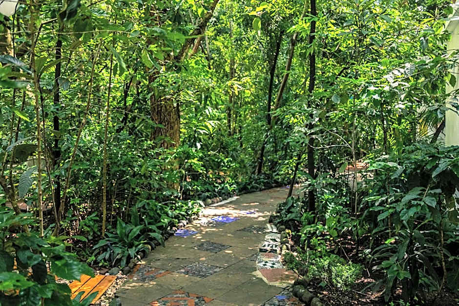 Hotel La Casa de los Árboles Immersive Experience