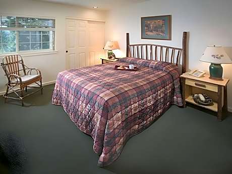 1 Bedroom Suite
