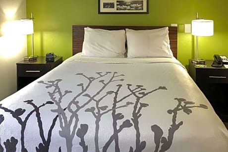 1 Queen Bed, Nonsmoking, Accessible