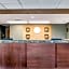 Comfort Inn Pine Grove I-81 Hershey Area