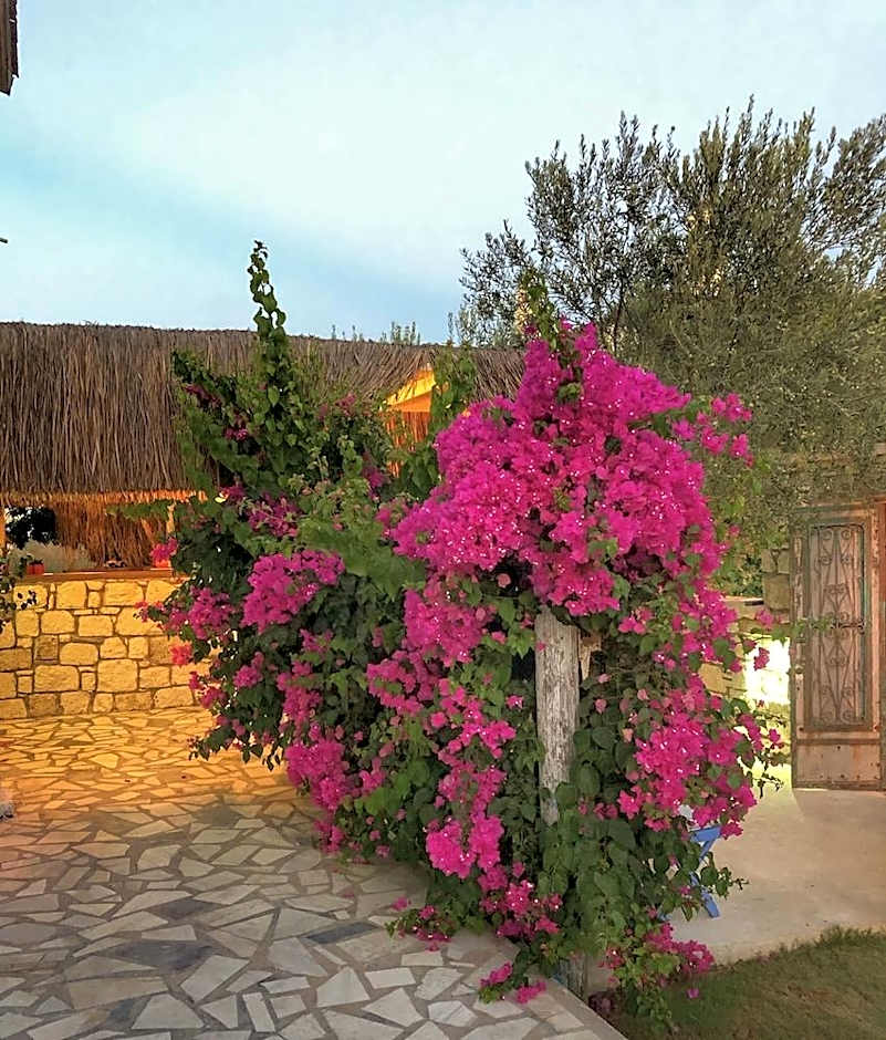 Temuçin Otel