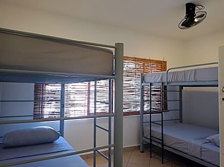 Bed in 10-Bed Mixed Dormitory Room