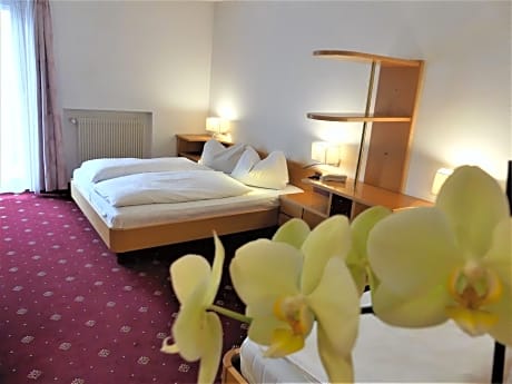 Triple Room with Mountain View