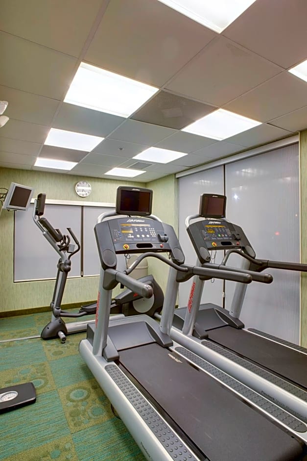 SpringHill Suites by Marriott Savannah I-95 South
