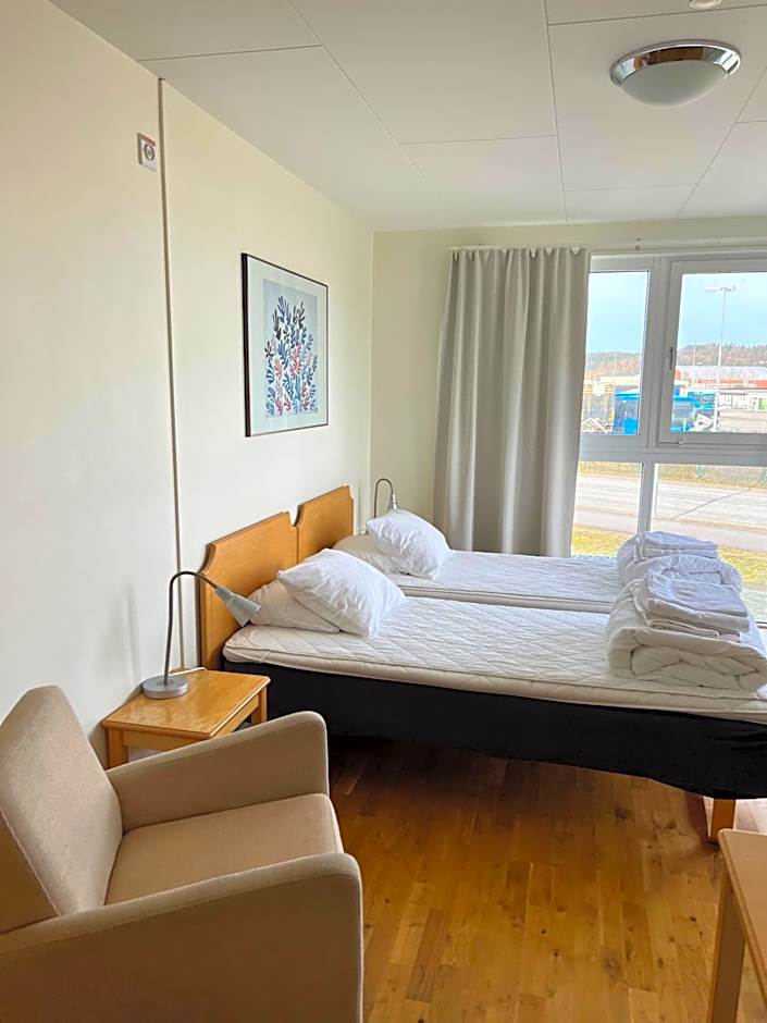 Vandrarhem Nattmössan