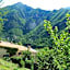 Le Mont d'Olivine
