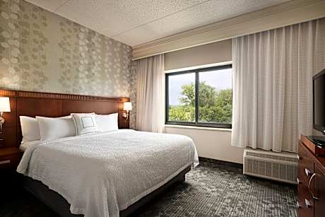 Suite, 1 King, Sofa bed