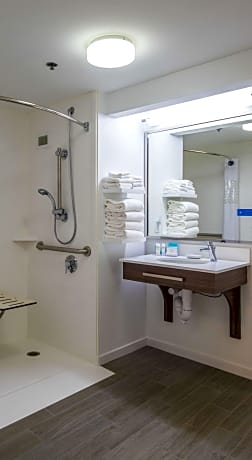 1 King Mobility Accessible Tub W/Sofabed Ns