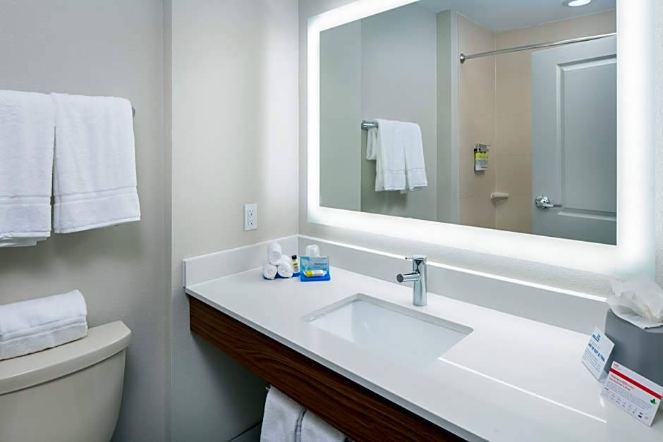 Holiday Inn Express Hotel & Suites Dallas South - DeSoto By IHG