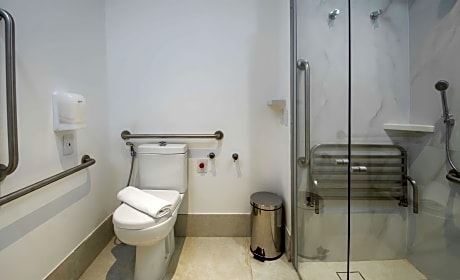 Twin Accessible Room W/ Roll-In Shower Ns