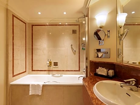 Premium Room (Square View) (1 King Bed)