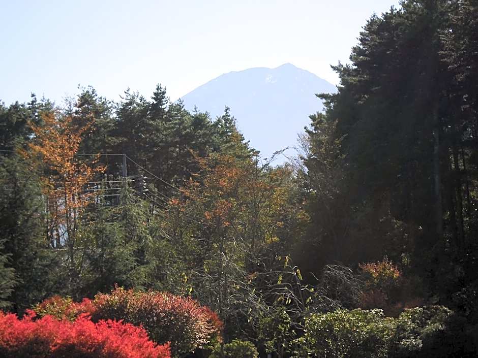 Evergreen-Fuji